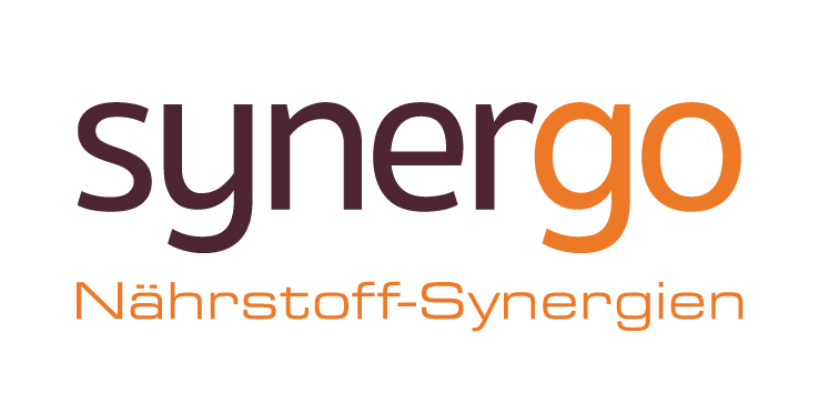Synergo Synergo