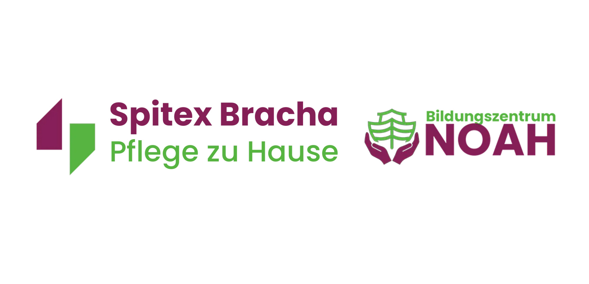 Spitex Bracha